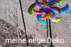 WhatsApp-Image-2021-01-29-at-18.41.261